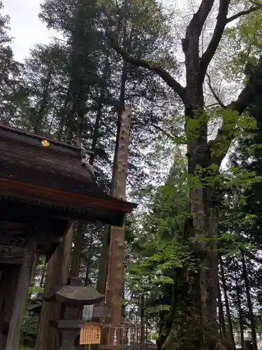 諏訪大社の自然