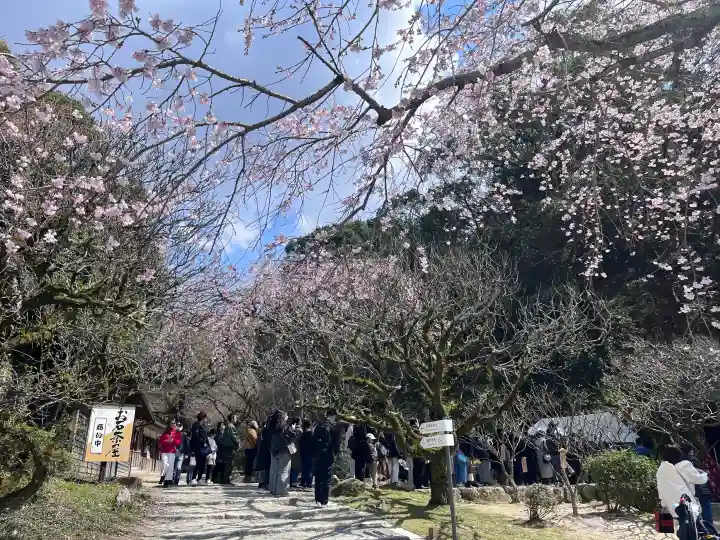 太宰府天満宮の{uncategorized: "未分類", other: "その他", undefined: "問題あり", building: "その他建物", grave: "お墓", sacred_gate: "鳥居", guardian: "狛犬", statue: "像", buddha: "仏像", history: "歴史", nature: "自然", garden: "庭園", animal: "動物", pagoda: "塔", temizu: "手水舎", mountain_gate: "山門・神門", sanctuary: "本殿・本堂", subordinate: "末社・摂社", art: "芸術", scenery: "景色", jizo: "地蔵", ema: "絵馬", goshuin: "御朱印", omikuji: "おみくじ", items: "授与品その他", amulet: "お守り", goshuincho: "御朱印帳", eats: "食事", festival: "お祭り", votive_dance: "神楽", shichigosan: "七五三参", wedding: "結婚式", experience: "体験その他", initially: "初詣", around: "周辺", anti_infection: "感染症対策"}