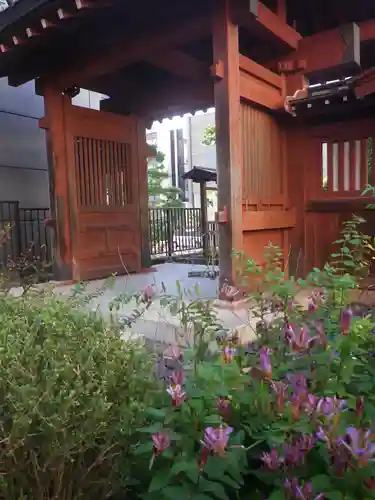大巧寺の山門・神門