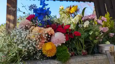 勝林寺(京都府)