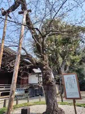 靖國神社(東京都)