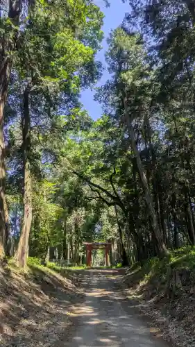 中村八幡宮の{uncategorized: "未分類", other: "その他", undefined: "問題あり", building: "その他建物", grave: "お墓", sacred_gate: "鳥居", guardian: "狛犬", statue: "像", buddha: "仏像", history: "歴史", nature: "自然", garden: "庭園", animal: "動物", pagoda: "塔", temizu: "手水舎", mountain_gate: "山門・神門", sanctuary: "本殿・本堂", subordinate: "末社・摂社", art: "芸術", scenery: "景色", jizo: "地蔵", ema: "絵馬", goshuin: "御朱印", omikuji: "おみくじ", items: "授与品その他", amulet: "お守り", goshuincho: "御朱印帳", eats: "食事", festival: "お祭り", votive_dance: "神楽", shichigosan: "七五三参", wedding: "結婚式", experience: "体験その他", initially: "初詣", around: "周辺", anti_infection: "感染症対策"}
