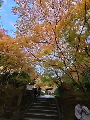 高徳庵 (最勝院)(京都府)