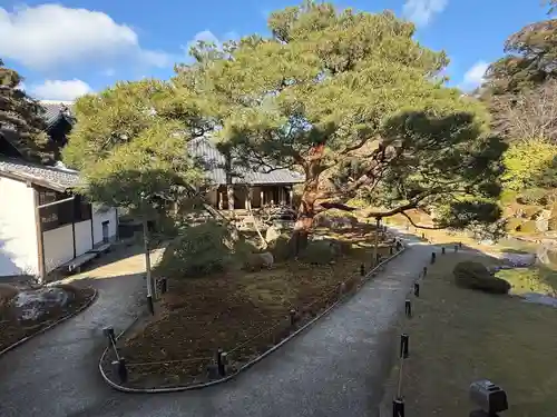 青蓮院門跡(京都府)