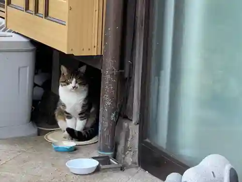 妙祝寺(東京都)