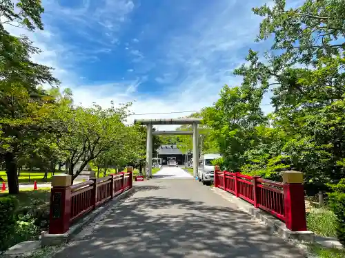 札幌護國神社の鳥居