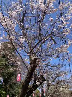 稱名寺(称名寺)(神奈川県)