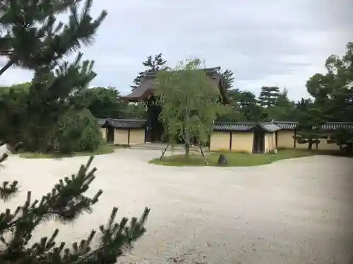 大覚寺の庭園