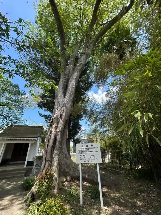 竃神社(兵庫県)