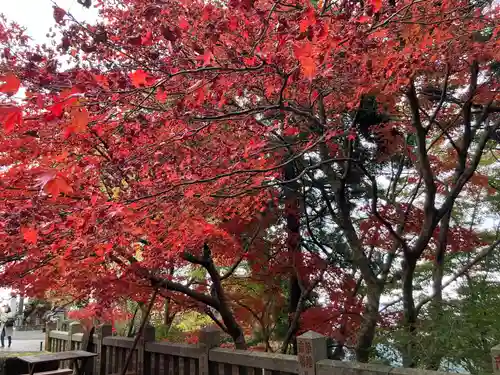 大山阿夫利神社(神奈川県)