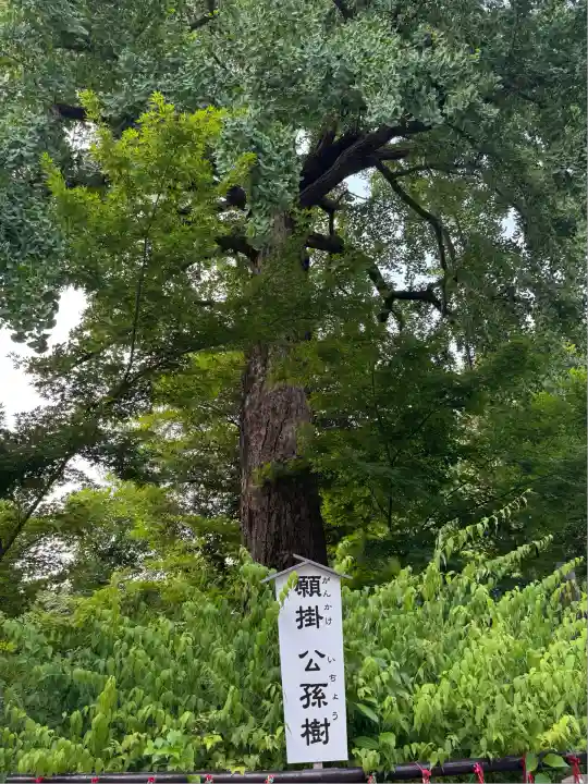 七社神社(東京都)