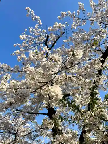 上目黒氷川神社(東京都)