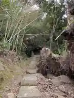 八坂神社の本殿・本堂