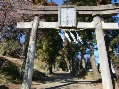 千代ケ岡八幡宮の鳥居
