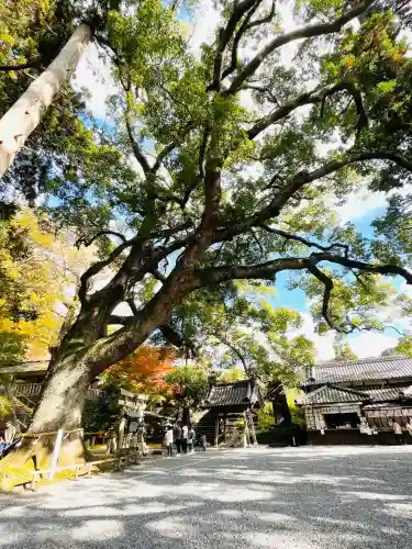 事任八幡宮(静岡県)