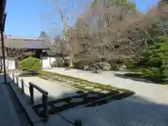 南禅寺の庭園