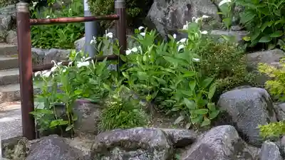 岡寺(龍蓋寺)(奈良県)