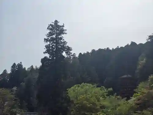 長谷寺(奈良県)