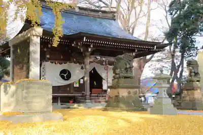 熊野福藏神社の本殿・本堂