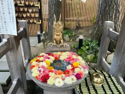 白山神社(新潟県)