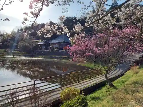 棲真寺の建物その他