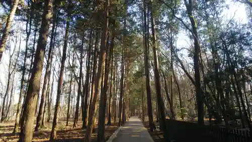 多福寺の自然