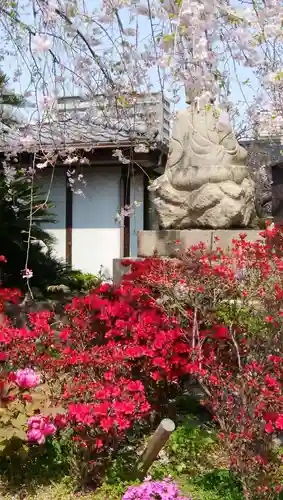 浄國寺（浄国寺）の自然