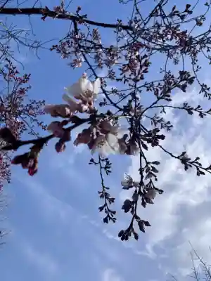 長建寺の{uncategorized: "未分類", other: "その他", undefined: "問題あり", building: "その他建物", grave: "お墓", sacred_gate: "鳥居", guardian: "狛犬", statue: "像", buddha: "仏像", history: "歴史", nature: "自然", garden: "庭園", animal: "動物", pagoda: "塔", temizu: "手水舎", mountain_gate: "山門・神門", sanctuary: "本殿・本堂", subordinate: "末社・摂社", art: "芸術", scenery: "景色", jizo: "地蔵", ema: "絵馬", goshuin: "御朱印", omikuji: "おみくじ", items: "授与品その他", amulet: "お守り", goshuincho: "御朱印帳", eats: "食事", festival: "お祭り", votive_dance: "神楽", shichigosan: "七五三参", wedding: "結婚式", experience: "体験その他", initially: "初詣", around: "周辺", anti_infection: "感染症対策"}