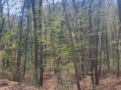 御嶽山神社（里宮）(栃木県)