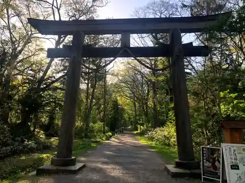 戸隠神社奥社(長野県)