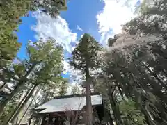 山家神社の自然