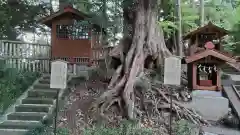 塚崎神明社の自然