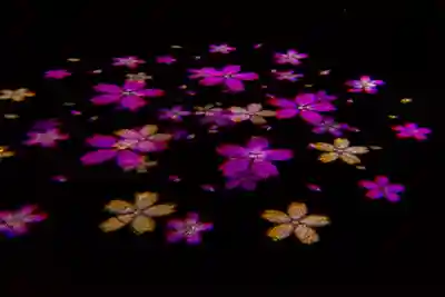 新城藤原神社(長野県)