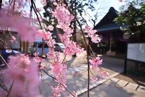 猿田彦神社(東京都)