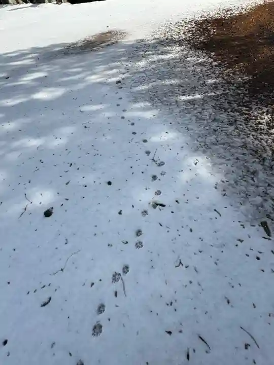 余勢城跡観音の{uncategorized: "未分類", other: "その他", undefined: "問題あり", building: "その他建物", grave: "お墓", sacred_gate: "鳥居", guardian: "狛犬", statue: "像", buddha: "仏像", history: "歴史", nature: "自然", garden: "庭園", animal: "動物", pagoda: "塔", temizu: "手水舎", mountain_gate: "山門・神門", sanctuary: "本殿・本堂", subordinate: "末社・摂社", art: "芸術", scenery: "景色", jizo: "地蔵", ema: "絵馬", goshuin: "御朱印", omikuji: "おみくじ", items: "授与品その他", amulet: "お守り", goshuincho: "御朱印帳", eats: "食事", festival: "お祭り", votive_dance: "神楽", shichigosan: "七五三参", wedding: "結婚式", experience: "体験その他", initially: "初詣", around: "周辺", anti_infection: "感染症対策"}