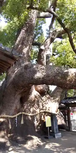 三島神社(大阪府)