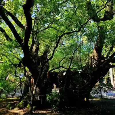 浜松八幡宮(静岡県)