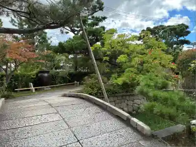 南宗寺(大阪府)