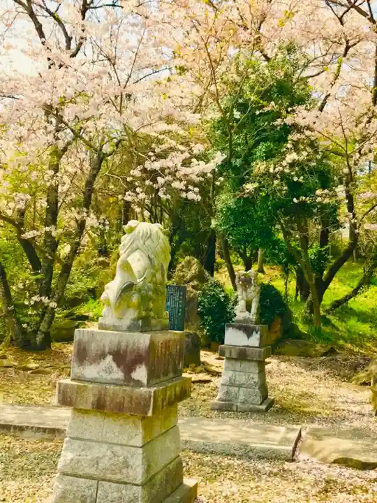 金嶽神社の狛犬