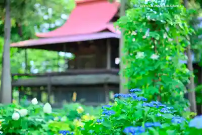 指扇氷川神社(埼玉県)