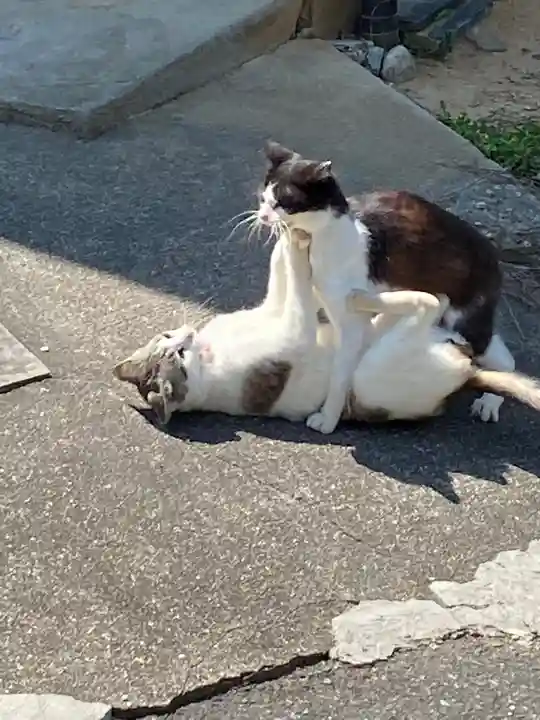 浄瑠璃寺の動物