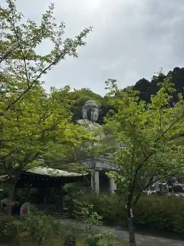 南法華寺（壷阪寺）の{uncategorized: "未分類", other: "その他", undefined: "問題あり", building: "その他建物", grave: "お墓", sacred_gate: "鳥居", guardian: "狛犬", statue: "像", buddha: "仏像", history: "歴史", nature: "自然", garden: "庭園", animal: "動物", pagoda: "塔", temizu: "手水舎", mountain_gate: "山門・神門", sanctuary: "本殿・本堂", subordinate: "末社・摂社", art: "芸術", scenery: "景色", jizo: "地蔵", ema: "絵馬", goshuin: "御朱印", omikuji: "おみくじ", items: "授与品その他", amulet: "お守り", goshuincho: "御朱印帳", eats: "食事", festival: "お祭り", votive_dance: "神楽", shichigosan: "七五三参", wedding: "結婚式", experience: "体験その他", initially: "初詣", around: "周辺", anti_infection: "感染症対策"}