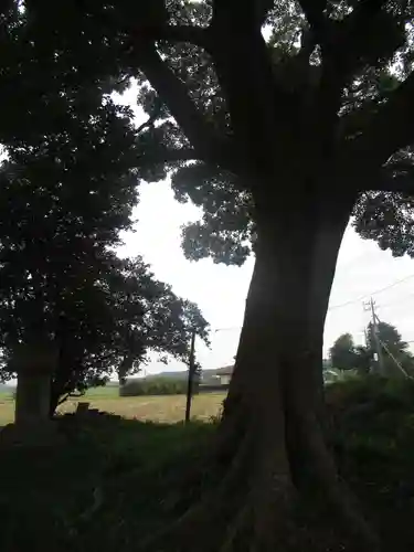 裏つくば、恋瀬川沿いの神社(茨城県)