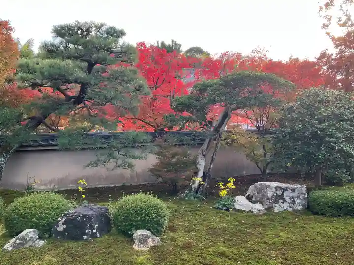 天得院(京都府)