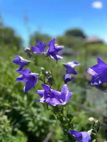 香勝寺(静岡県)