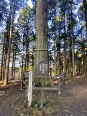 奥之院思親閣(山梨県)