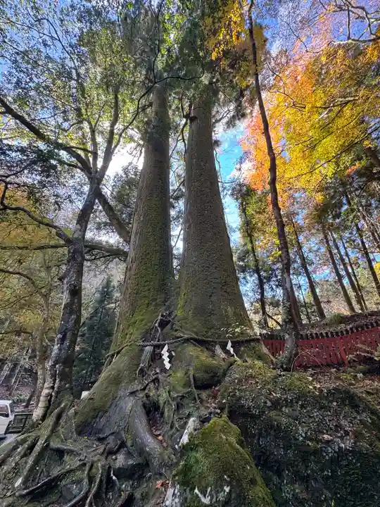 貴船神社奥宮(京都府)