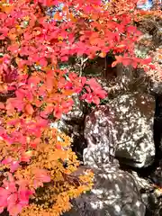 瑠璃寺(長野県)