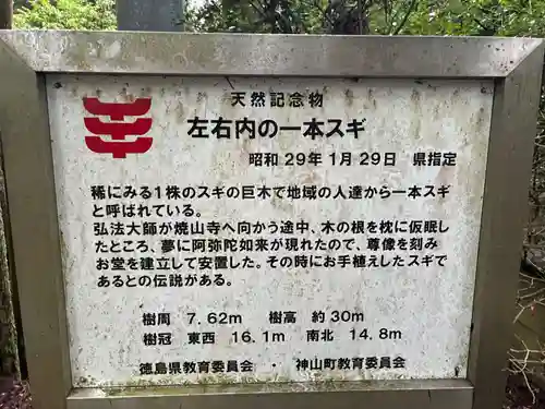 浄蓮庵(徳島県)