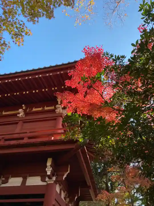 本土寺のその他建物